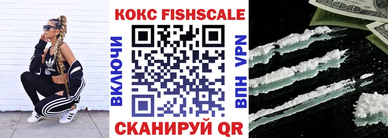 КОКАИН Fish Scale  где купить наркотик  МЕГА зеркало  Новоржев 
