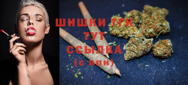 гашик Володарск