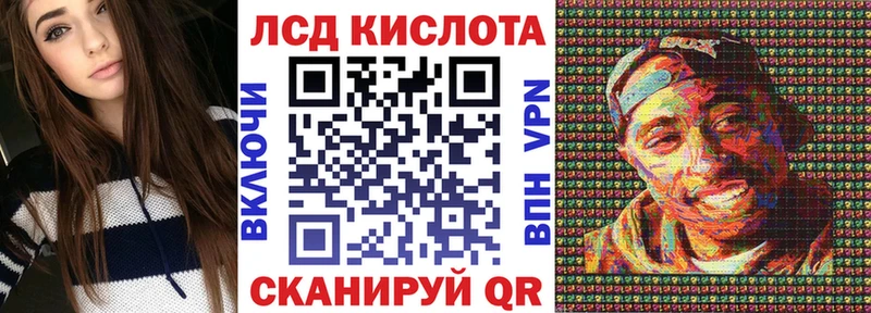 дарнет шоп  Новоржев  Марки N-bome 1,8мг 