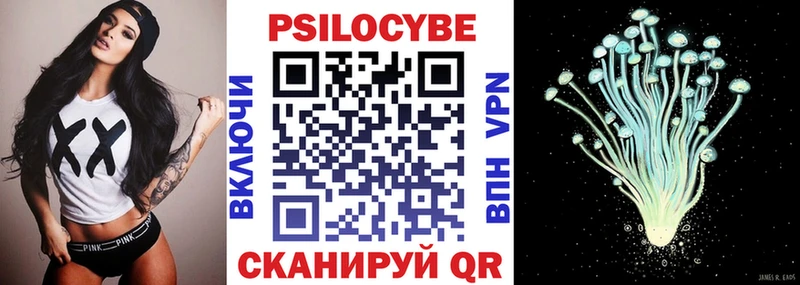 закладки  Новоржев  Псилоцибиновые грибы мицелий 